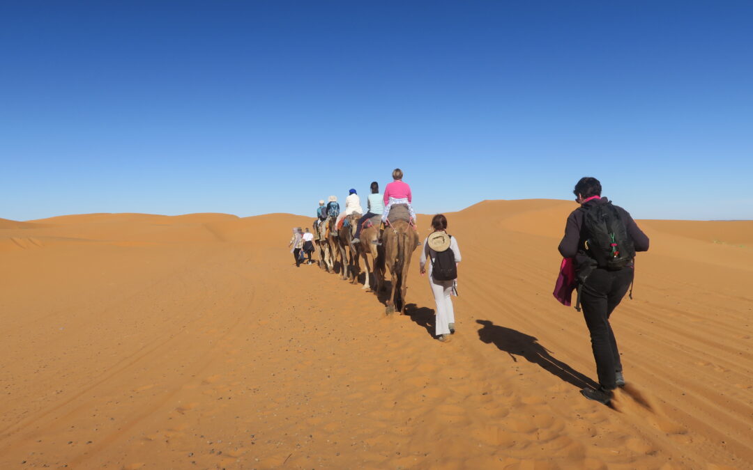 En Chemin du 14 au 21/10/2026